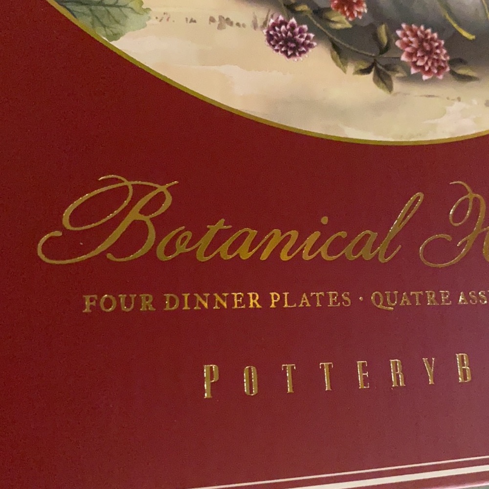 Pottery Barn Botanical Harvest Pumpkin Stoneware Dinner Plates - Set Of 4 - Picture 4 of 16